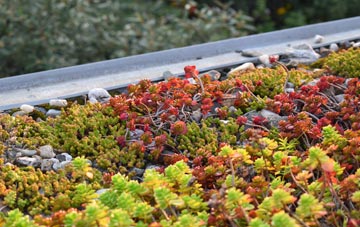 the cost of Mynyddygarreg green roof installation