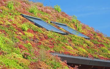 Mynyddygarreg living roof systems